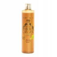 Green Caviar Line Shampoo Iv San Bernard, szampon bez SLS dla psa i kota 1L