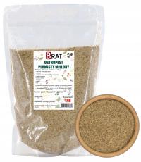 OSTROPEST PLAMISTY MIELONY 1kg Świeży naturalny wątroba sylimaryna