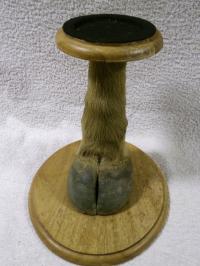 STOJAK NA DONICĘ Z NOGĄ BAWOŁA AFRYKAŃSKIEGO