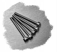 M2x20 ŚRUBA IMBUS AMPULOWAOWA WALCOWA NIERDZEWNA A2 912(50)