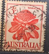 Australia luzak kas - 22/6