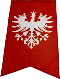 MOCNA Flaga Powstania Wielkopolskiego Powstanie Wielkopolskie 112x70 TUNEL