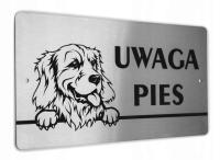 Tabliczka INOX - UWAGA PIES - Golden Retriever