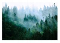 Фото обои для гостиной спальни лес в тумане 3D деревья обои 368X254