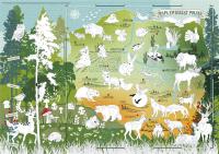 Раскраска Пола Для Детей Карта Животные