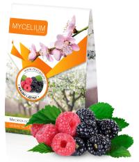 Микориза малины и ежевики Mycelium