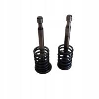 TECUMSEH BVS 143 ZAWÓR SSĄCY WYDECHOWY KOMPLET