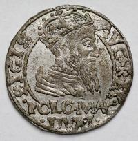 1740. Zygmunt II August, Grosz na stopę polską 1566, Tykocin