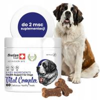 SwissVet Vital Complex-suplement dla psa, jelita stawy sierść skóra, 60szt