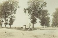 Włodawa kolumna - Reprodukcja 41337