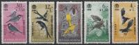 INDONEZJA - PTAKI - 1964 - CZYSTE **