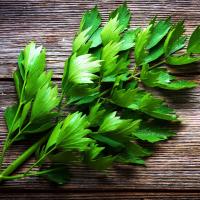 Приправа семени травы любистока сада лекарственная ароматическая