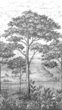 Fototapeta tapeta winylowa na flizelinie Rycina Drzewo biało czarna 280x159