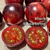 Pomidor Black Strawberry