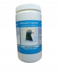REBUILD CAPSULES 100 kapsułek szybka odbudowa gołębia Pigeon Vitality