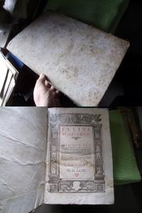 olbrzymie FELINI REPERTORIUM prawo PERGAMIN 1549