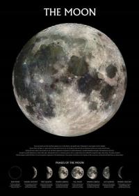 Постер фазы Луны с описанием 61x91, 5 см