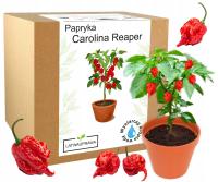 Набор для выращивания перца Каролина Жнец Hp22b красный семена-самый острый