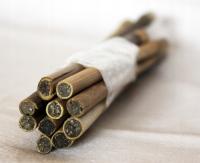 Nożycówka pospolita (Cholestoma florisomne) - gniazdo - 10 szt.