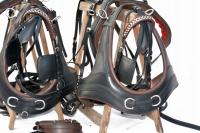 УПРЯЖЬ ХОМАТОВА НА ПАРУ ЛОШАДЕЙ РАЗОШЛАСЬ.COB