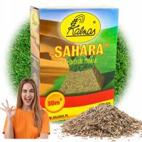 Trawa Kalnas SAHARA 0,9kg Nasiona Na Trawnik Odporny Powierzchnie Słoneczne