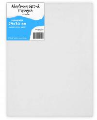 Холст для живописи 24X30CM профессиональный подобласти 1шт.