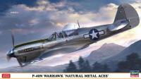 Hasegawa 07516 P-40N Warhawk AIRCRAFT SCALE 1/48 Plastic Model NEW