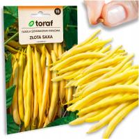 Семена зеленая фасоль Золотая Saxa без волокон очень вкусная