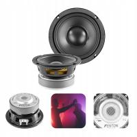 НЧ-динамик 1 шт. Фентон WPP13 черный