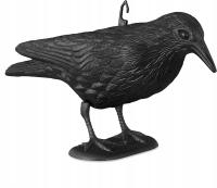 ВОРОН ПТИЦА ОТПУГИВАТЕЛЬ ГОЛУБЕЙ НА БАЛКОН ВОРОНА МЫШЬ ПРОТИВ ПТИЦ