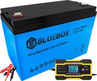 Akumulator Bluebox 12V 100Ah + Ładowarka Prostownik 10A