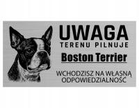 Tabliczka TERENU PILNUJE Boston Terrier 20x10 Alu