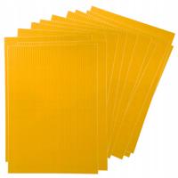 WĘZA pszczela WIELKOPOLSKA Łysoń 12 sztuk PLASTRÓW na jeden ul