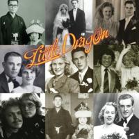 Little Dragon - Ritual Union (LP) WINYL