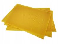 Węza pszczela Warszawska-poszerzana Łysoń 10 sztuk PLASTRÓW