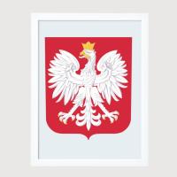 Эмблема герб Польский в рамке 30x40 см A3