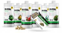 INVITAL набор удобрений 6x500ml таблетки
