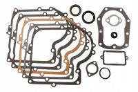 ZESTAW USZCZELEK USZCZELKI BRIGGS B&S 12,5 hp