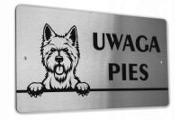 Tabliczka INOX UWAGA PIES West Highland Terrier