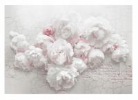 FOTOTAPETA KWIATY 3D NA BETONIE DUŻE PIWONIE TAPETA ŚCIENNA 368x254