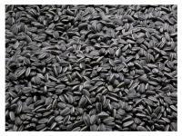 14 кг Подсолнух черный не шелушится зерно для зимы Кормушка для птиц Champi