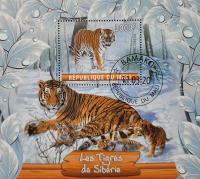 Т. 0292 * Б фауна млекопитающие животные сибирский тигр