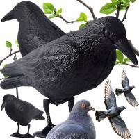 KRUK DUŻY ODSTRASZACZ PTAKÓW SZPAKÓW GOŁĘBI REALISTYCZNA FIGURKA NA PTAKI