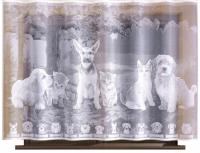 Друзья, собаки, котята, домашние животные Жаккардовая занавеска 250x150cm (готова)