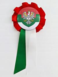 Kotylion flaga Zagłębie Dąbrowskie Flaga Zagłębia