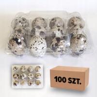 Opakowanie na 12 jaj przepiórczych plastik QPS12 - 100 szt