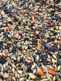 Зимний корм с черным овсом 25 кг, Золотые крылья