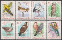 WĘGRY - PTAKI - CZYSTE **