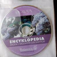 Na PC ENCYKLOPEDIA drzew i krzewów liściastych 100 PC / licencja wieczysta BOX