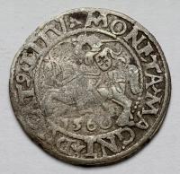 2239. Zygmunt II August, Półgrosz Wilno 1560